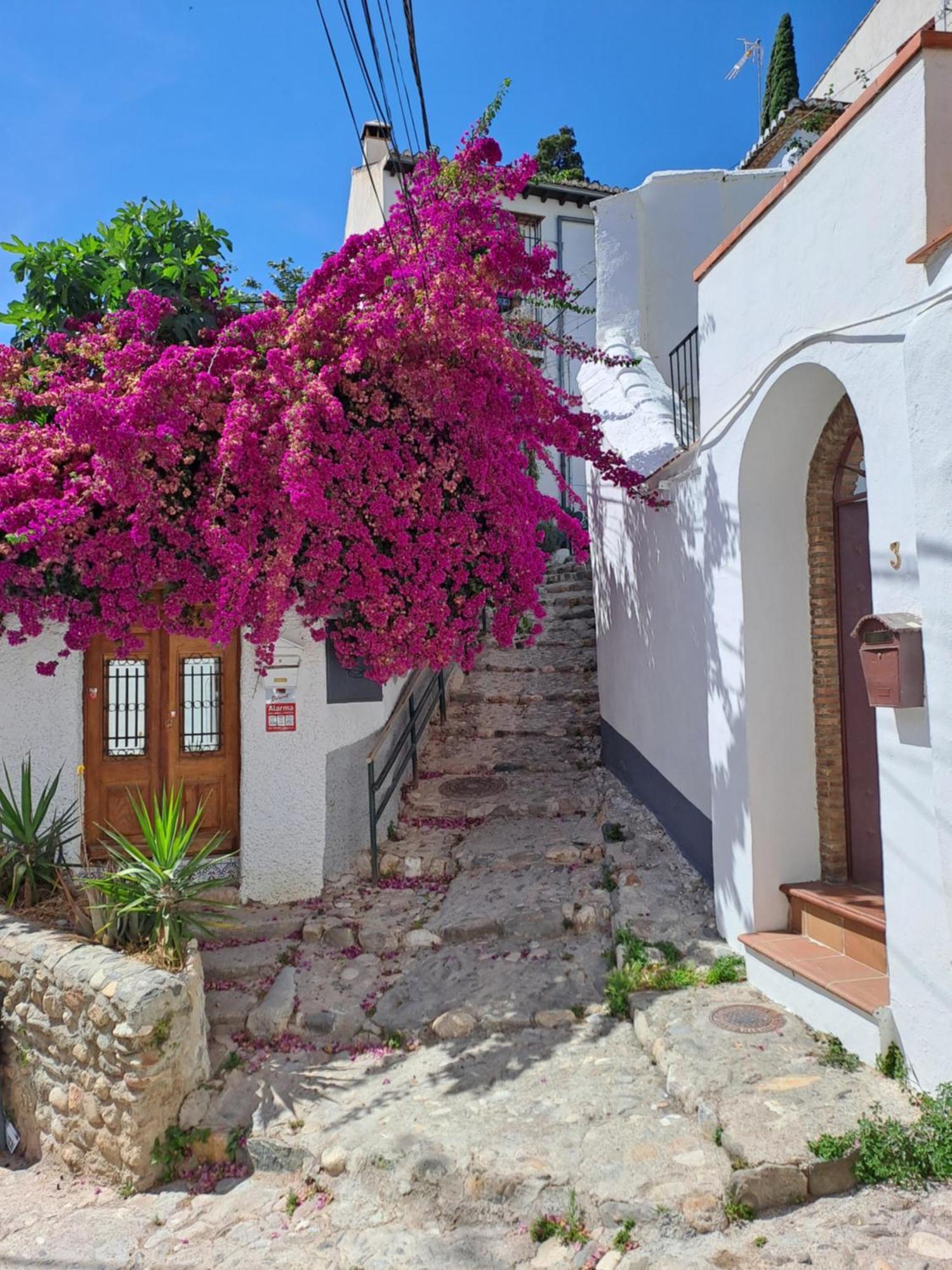 Casa Alhambra - Centro Historico Con Jardin Privado Lägenhet Granada Exteriör bild