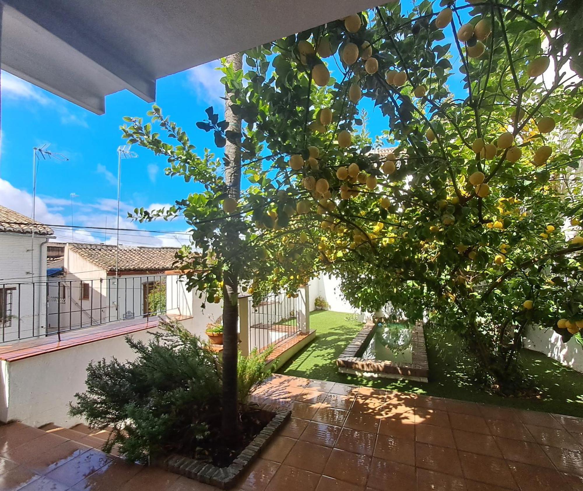 Casa Alhambra - Centro Historico Con Jardin Privado Lägenhet Granada Exteriör bild
